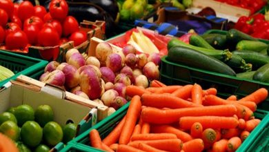 صورة القابضة للصناعات الغذائية: تخفيضات بأسعار الخضر والفاكهة بالمجمعات الاستهلاكية تصل إلي 20%