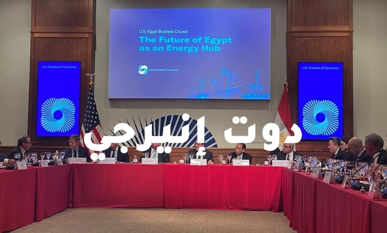 صورة وزير البترول: التعاون الحالي بين مصر والولايات المتحدة في مجال الطاقة ينمو بشكل غير مسبوق