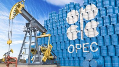 صورة أوبك بلس توافق على زيادة إنتاج النفط تدريجياً وزيادة حصة الإمارات إلى 3.5 مليون برميل يوميًا